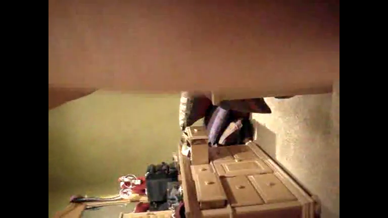 cam girls