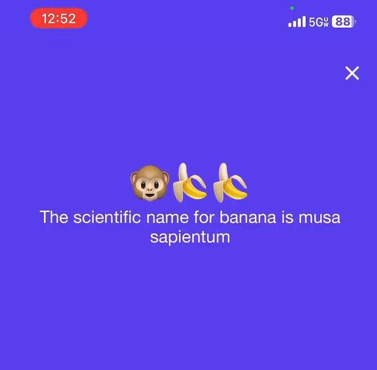 Ebony slut masturbates on monkey app
