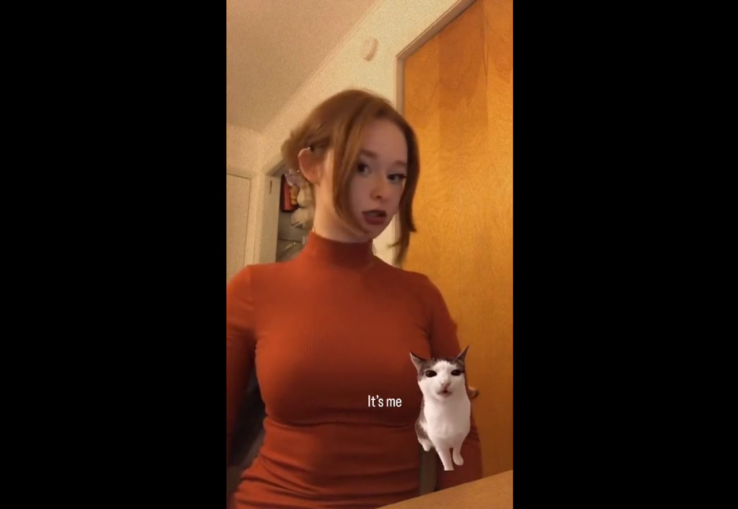 Omegle Preview
