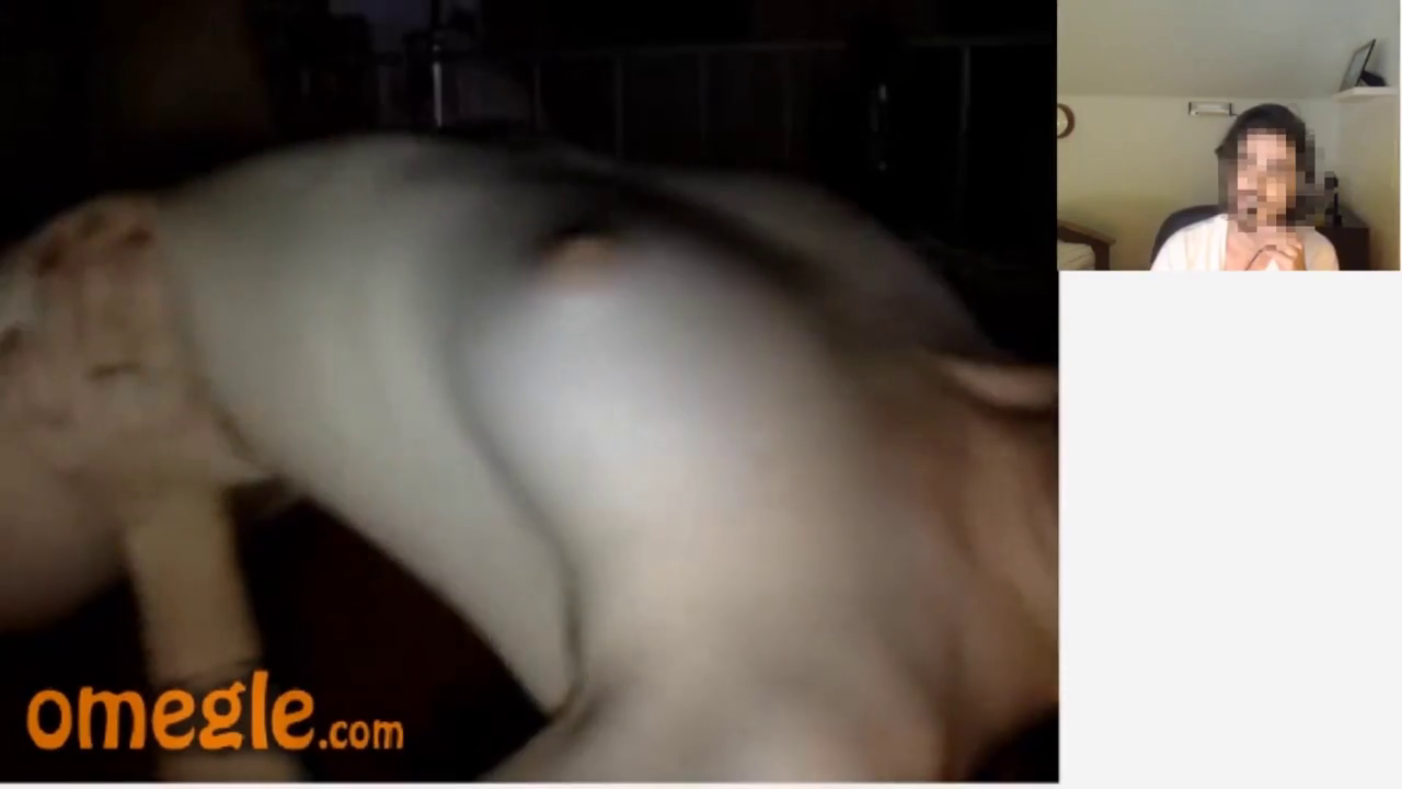 Omegle Ski Mask